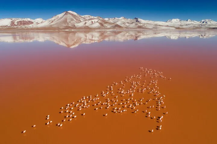A convoy of 4x4 jeeps crossing the salt flat on a multi-day Uyuni salt flats tour