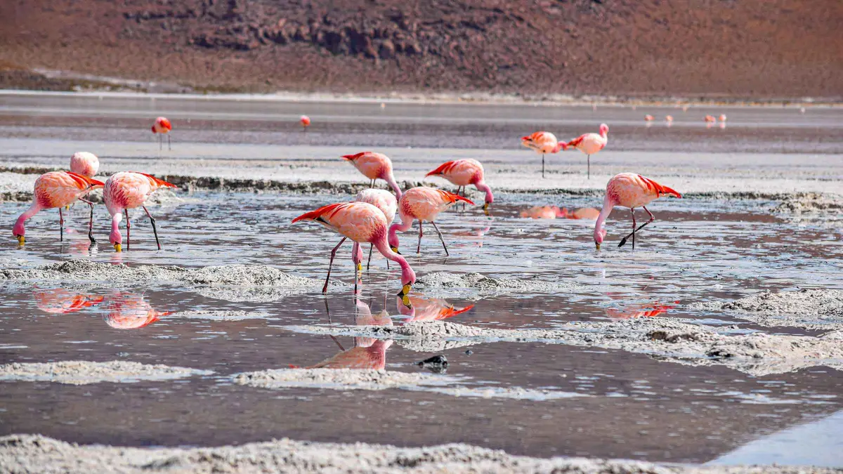 A 4x4 vehicle crossing the Siloli Desert on a 3-day Uyuni salt flats tour to San Pedro de Atacama