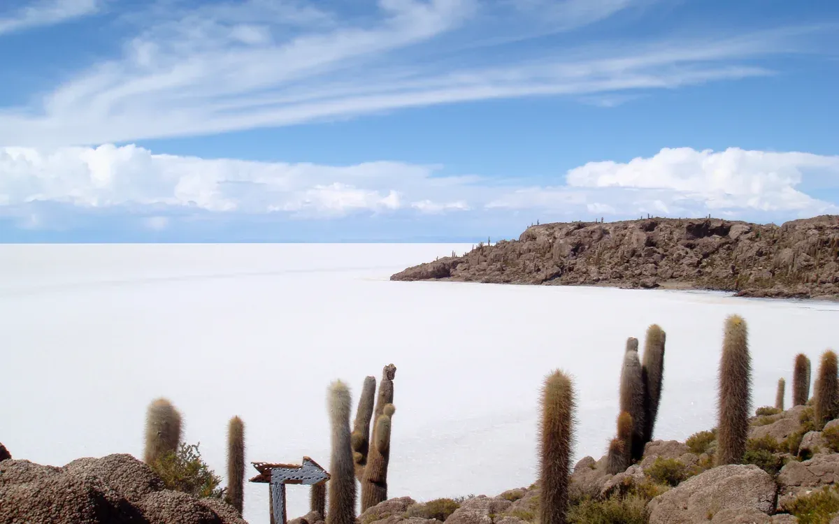 Cacti and the endless white salar from Incahuasi Island on an Uyuni salt flats tour