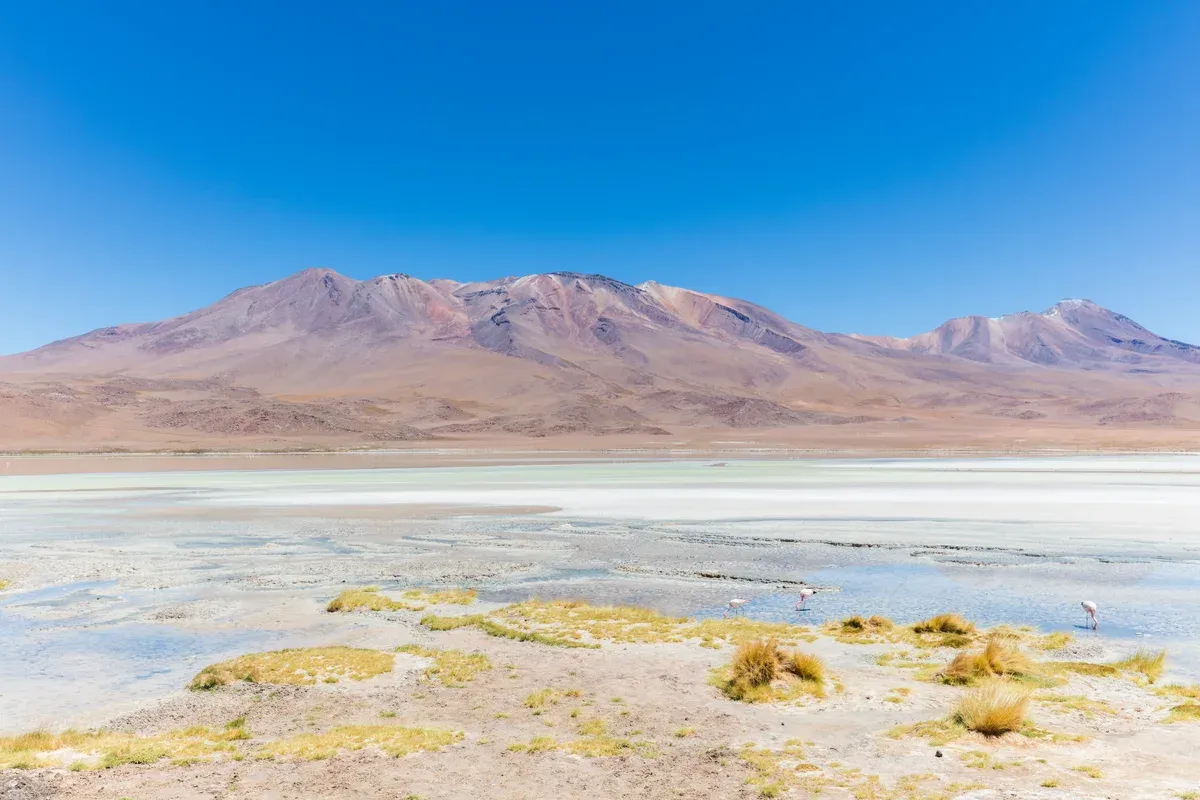 Laguna Hedionda and the volcanoes behind it on a three-day Uyuni salt flats tour