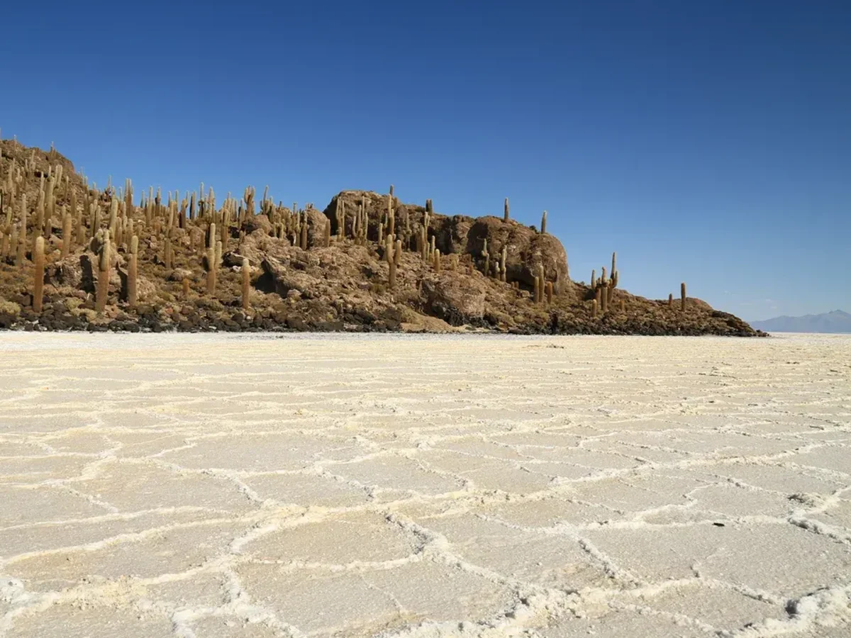 Hexagon salt crust below Incahuasi Island seen on an Uyuni salt flats tour